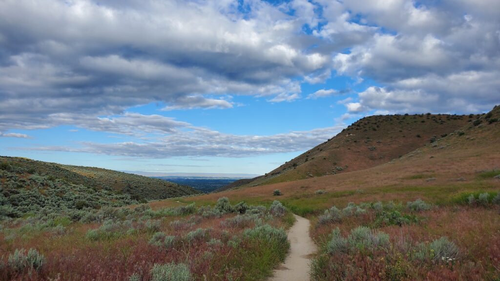 20220620 081023